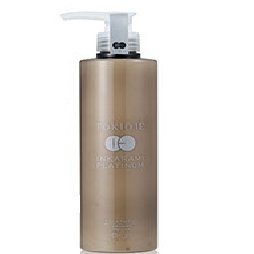 TOKIO IE インカラミ トリートメント 500g [ TOKIO IE INKARAMI TREATMENT ]