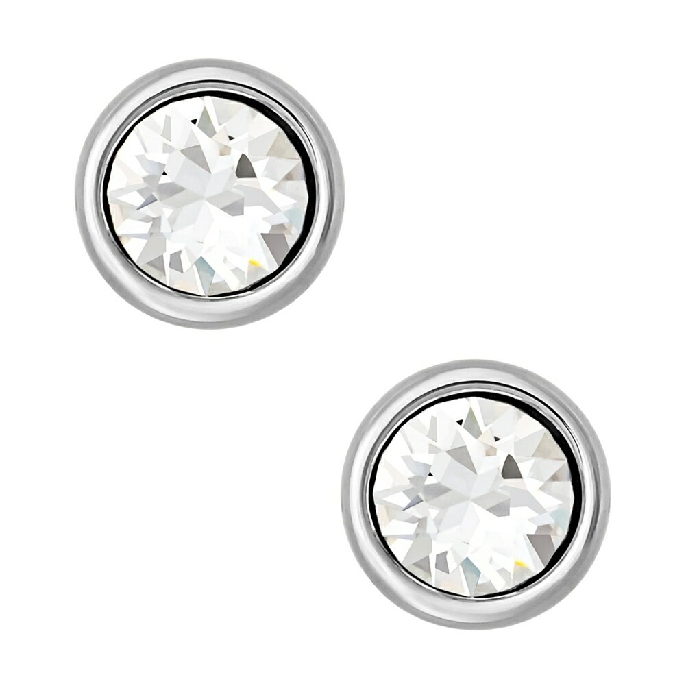 ピアス 5696073 シルバー