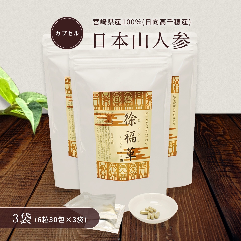 日本山人参【カプセル(6粒×30包)】3袋セット ハードカプセル タブレット 1か月分 ヒュウガトウキ 自社農園 無添加 無農薬 温活 冷房対策 冷え性 血圧 血糖値 健康茶 YN-1