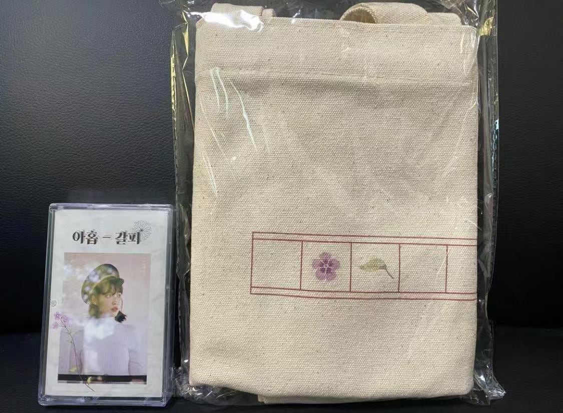 IU アイユー 2017年 デビュー9周年記念ファンミーティング ヨッチョゴン 역조공 カセットテープ エコバック カバン 鞄