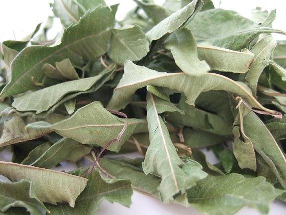 4041/【voxspice】【業務用】オーガニック レモンバーベナ 100g トルコ産 JAS 有機栽培 無農薬 スパイス/香辛料