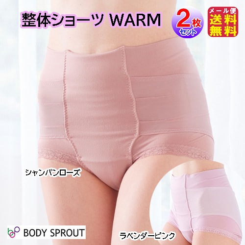 【整体ショーツ WARM(ウォーム)(2枚セット)】整体 ショーツ 整体パンツ 腰痛対策 女性用 骨盤補正 腰痛 ガードル 腰痛 サポーター 腰