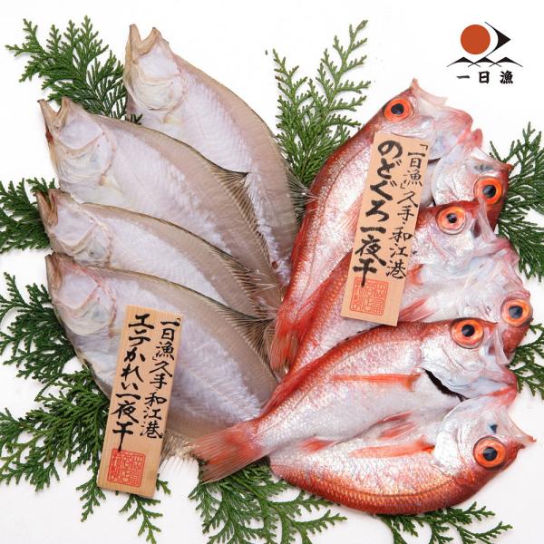 島根 岡富商店 一日漁 のどぐろ かれい一夜干 SISK