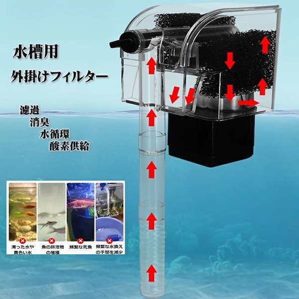 熱帯魚　フィルター 熱帯魚 フィルター 09.jpg