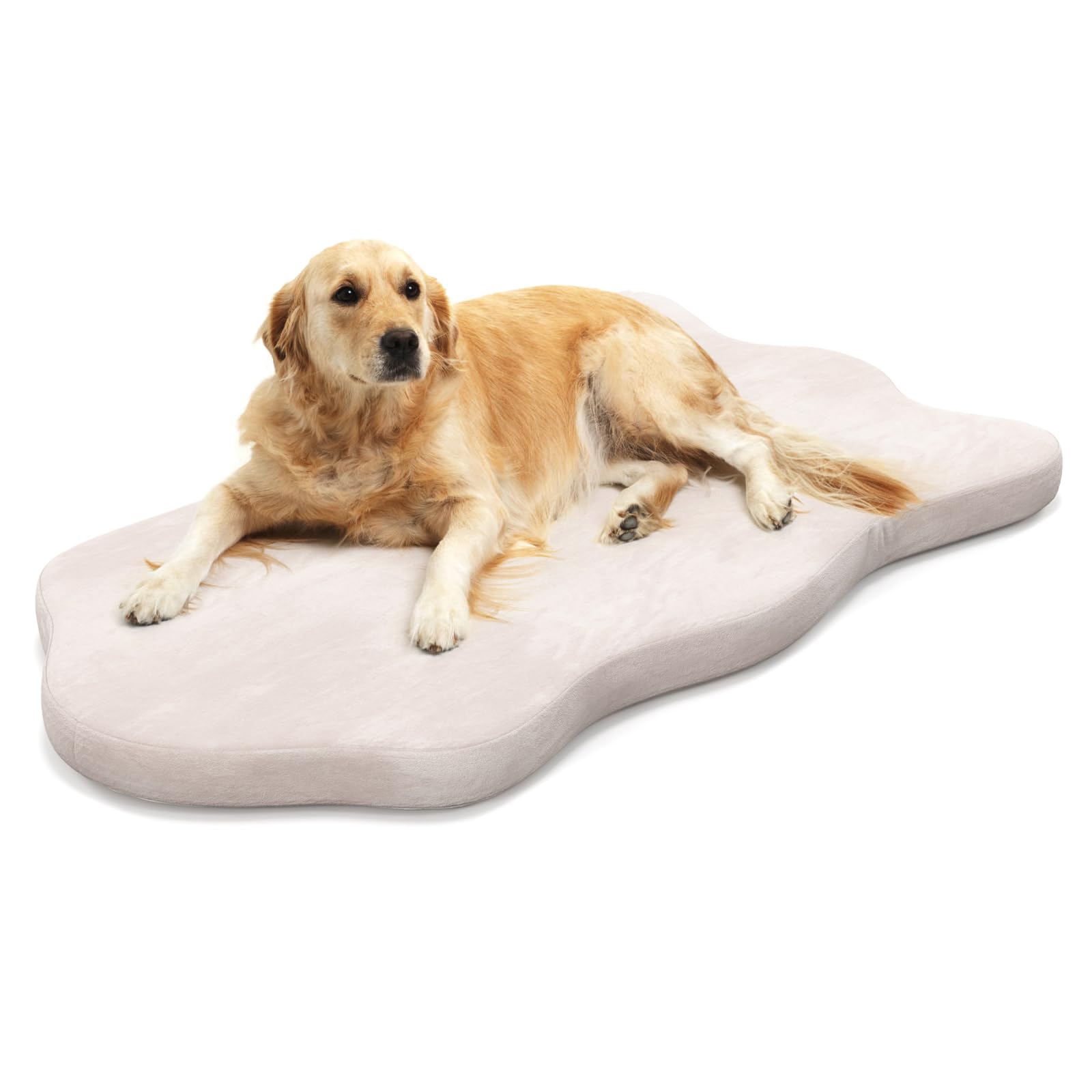 GYMAX 猫 犬 ベッド クッション グッズ ペットベッド ペット用品 洗える 取り外し可能 5cm厚さ 滑り止め 暖かい 防寒 冷房対策 猫用 犬用 大型犬 ペットハウス 室内 屋外(マット-ベー