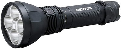 ☆リーナ様☆専用☆特級呪物‼️ネパール産 ツァツァ護符 千手観音