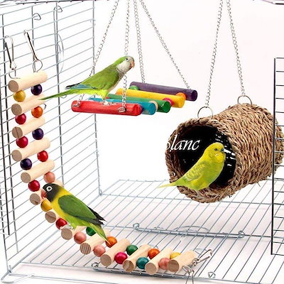 Qoo10] バードトイ 鳥おもちゃ 鳥の遊び場 吊下