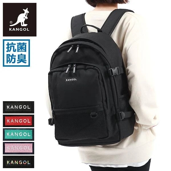 リュック Alterna バックパック デイパック 通学 大容量 28L A4 B4 2層 抗菌 防臭 ノートPC スクール 部活 ユニセックス 販売店限定色 250-1293