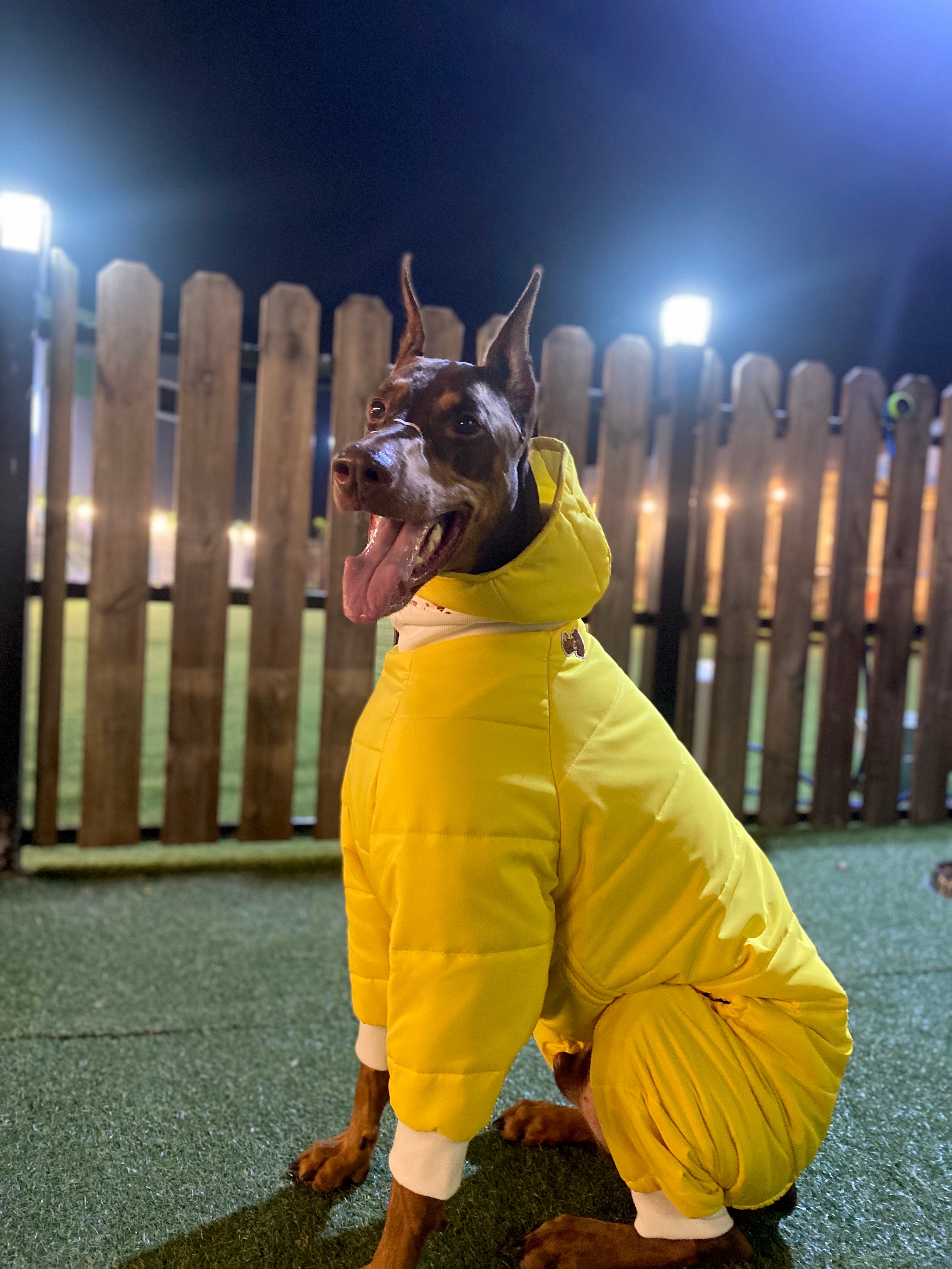 대형견 패딩재킷 5oz 大型犬ダウンジャケット5oz