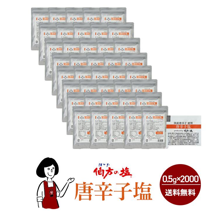 唐辛子塩　0.5gｘ500袋