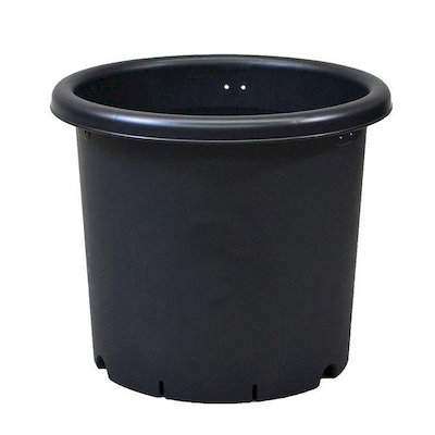 他サイト： アップルウェアー 4905980972087 菊鉢7号BKの商品画像