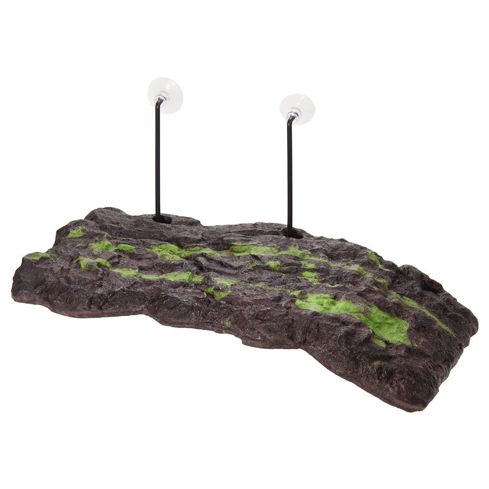 ＺＯＯＭＥＤ　タートルドック　Ｌ　爬虫類　浮島　ＣＲＣ17―85―40―00―00