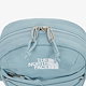 GRAYISH_TURQUOISE