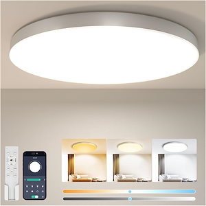 Coizabera LED シーリングライト 6畳 28W 3600lm 調光調色 豆電球常夜灯 天井照明器具 おしゃれ 蛍光灯 リモコン付き スマホAPP操作 6～8畳