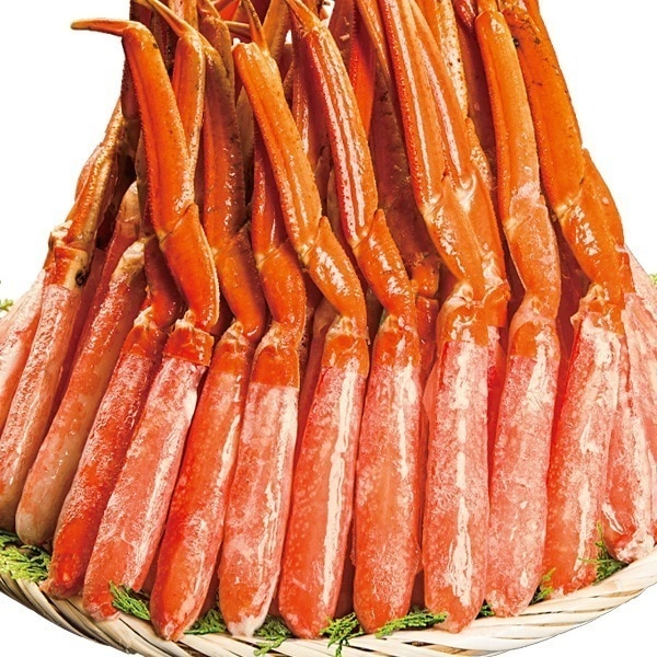 2kg 特特大ズワイガニ太脚剥き身 ボイル済 ずわいがに かに カニ 脚肉 剥き身 冷凍