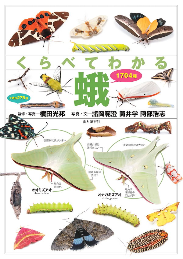 くらべてわかる蛾 1704種 (くらべてわかる図鑑)
