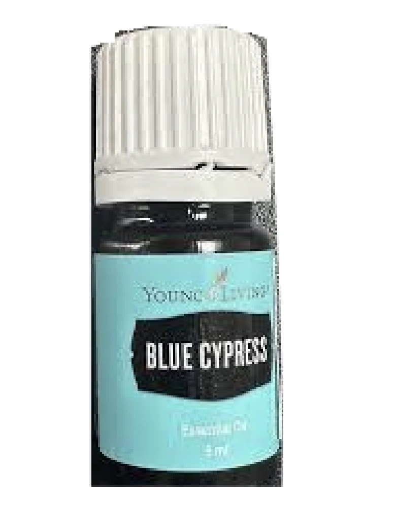 ブルーサイプレス 5ml ヤングリビング Young Living 4,330円