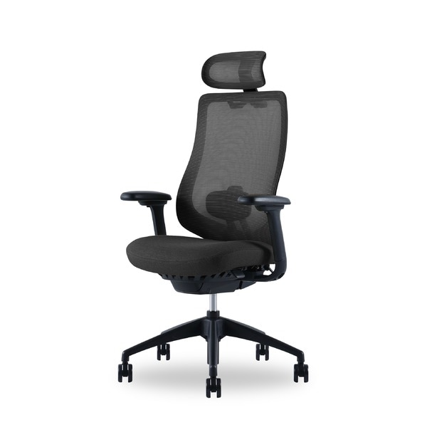 高機能オフィスチェア Type-LB フレーム：ブラック/張地：ブラック 組立品