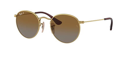 有名国際展作家「ガーベラ」花/D・リトグラフ/10部限定/直筆サイン