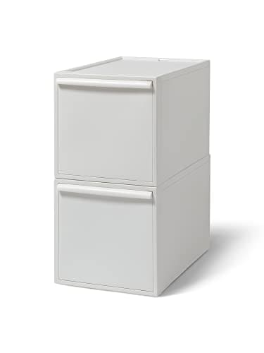 サイズ：6)Large×2P ライクイット (like-it) 収納ボックス クローゼットシステム