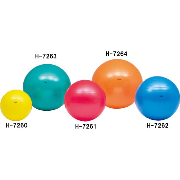 ボディーボール85 学校機器 (h7264)