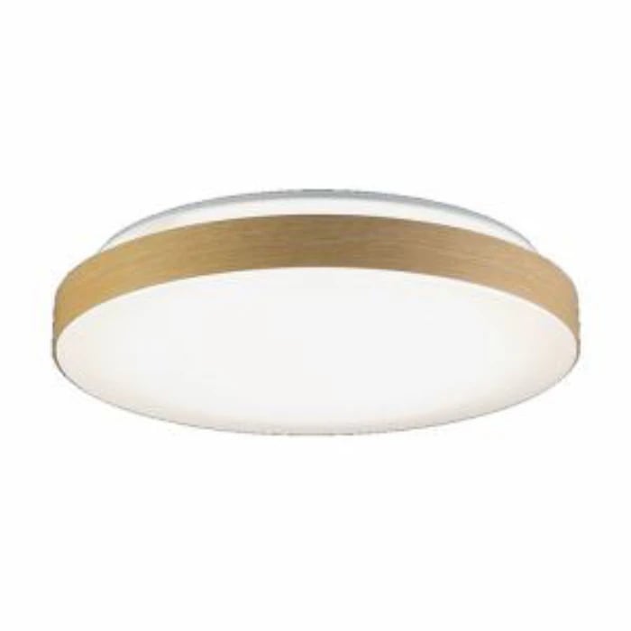 HLDC12432SG [�i�`�������u���E��]