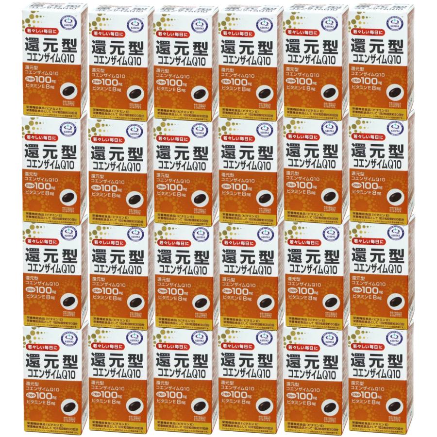 還元型コエンザイムＱ10 60粒 24個セット カネカ製 約30日分 ソフトカプセル 栄養機能食品
