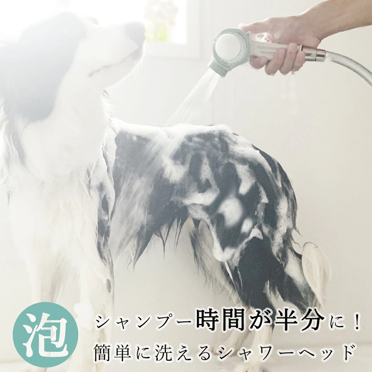 自宅でワンちゃんのシャワーが片手で簡単・キレイにできる シャワーヘッド Shawany Color シャワニー 13,950円