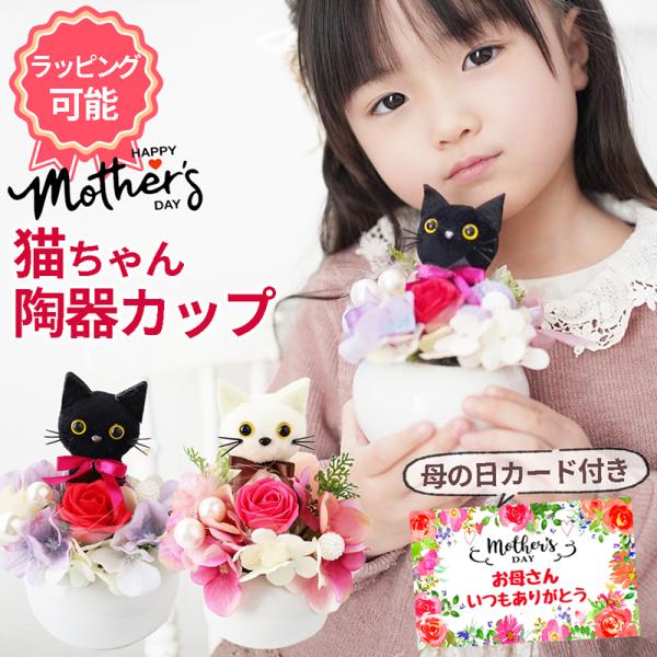 Qoo10] 母の日 花束 早割 プレゼント 黒猫 ね