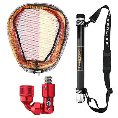 蝶標本】ポリクトール（1オス・インド北部産）