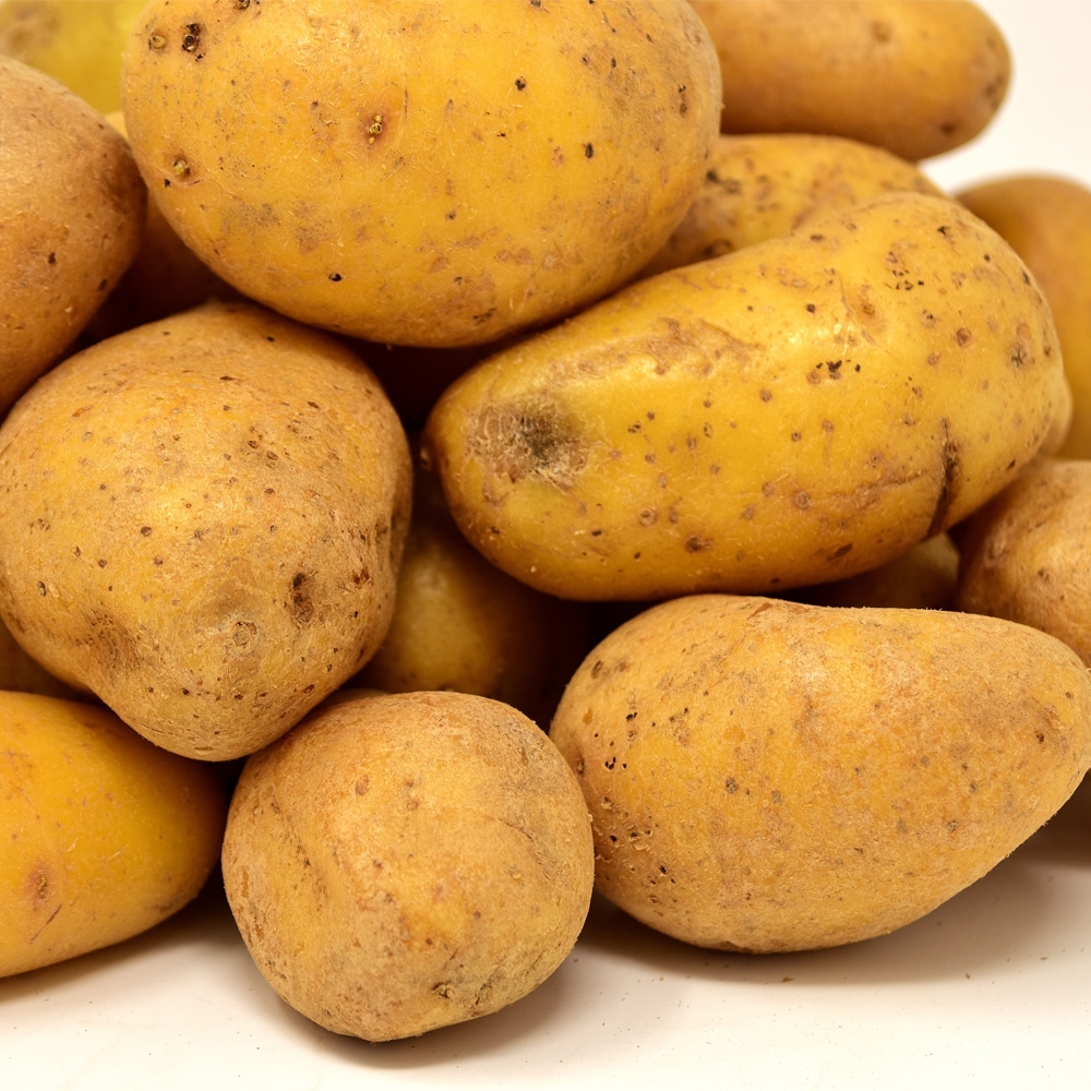じゃがいも 秀品 M~ Lサイズ 3kg 5kg 10kg メークイーン とうや 男爵 品種任せ 北海道 国産 野菜 ジャガイモ 馬鈴薯 越冬 男爵芋 キタアカリ メークイン 家庭用 おうち用 6,073円