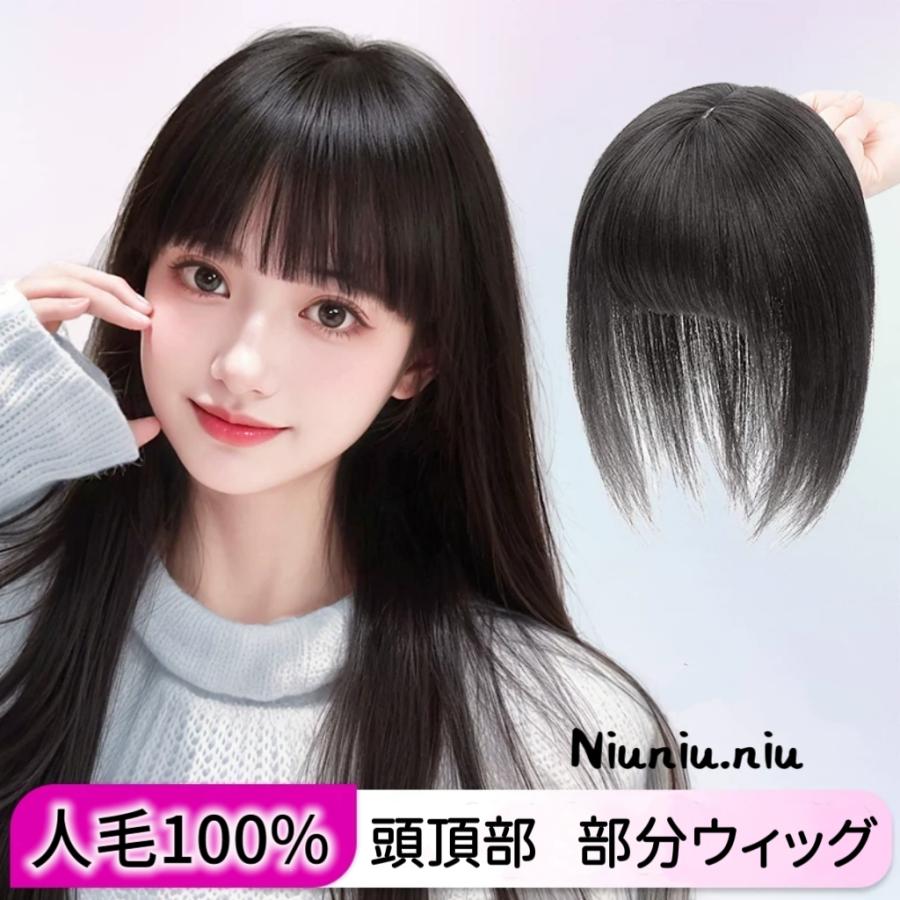 人毛100％ 部分ウィッグ 自然 20cm 医療用 ボブ ヘアピース トップピース レディース 女性頭頂部 つむじ 分け目 白髪隠し 母の日 贈り物 プレゼント