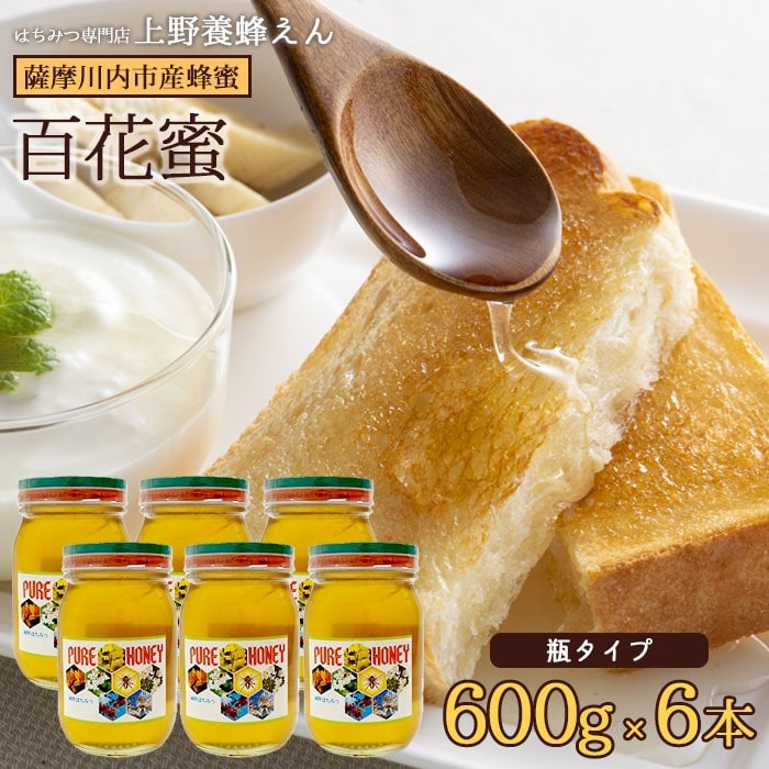 鹿児島県産百花蜜 はちみつ (瓶) 600g 6本 ハチミツ 蜂蜜 上野養蜂えん 国産 鹿児島県産 鹿児島県 薩摩川内市 ビン 瓶入り ギフト プレゼント 母の日 父の日 14,593円