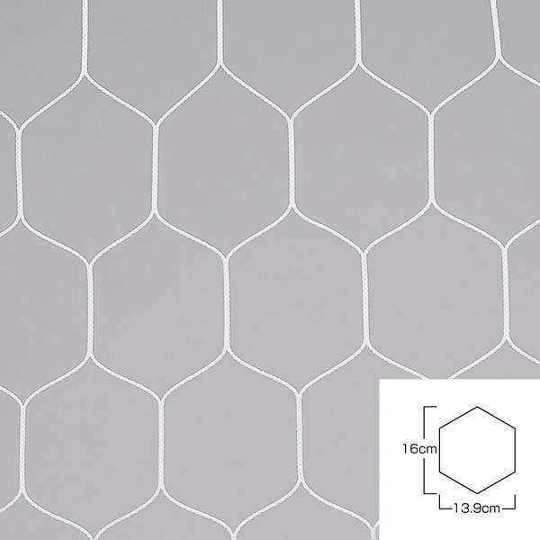 エバニュー EKD849 ジュニアサッカーゴールネット亀甲J114