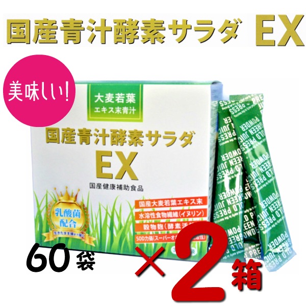 2箱セット 国産青汁酵素サラダEX 60袋 約1か月分 SOD活性 国産大麦若葉 穀物麹 イヌリン 国産 日本製 食物繊維 酵素 飲みやすい 大麦若葉 無添加 無農薬