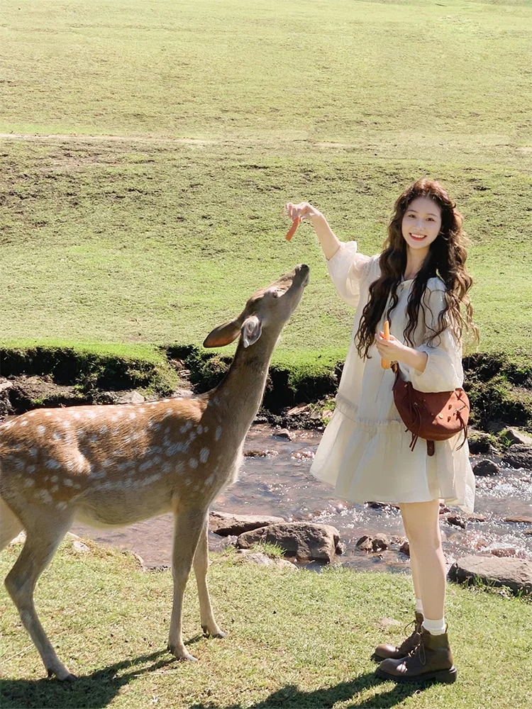 春夏 ワンピース おしゃれ かわいい ドレス ミニ丈 ラウンドネック Aライン 韓国ファッション レディース 白 シンプル お出かけ キュート 甘めスリーブフレンチ