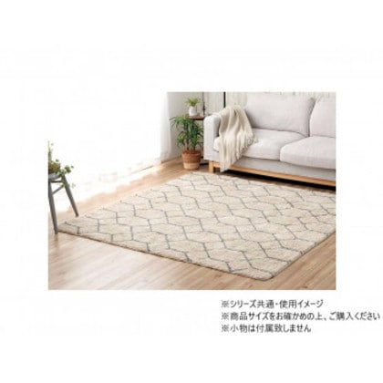 カーペット 柄ラグ ポラロ 190×190cm アイボリー 1340970141903