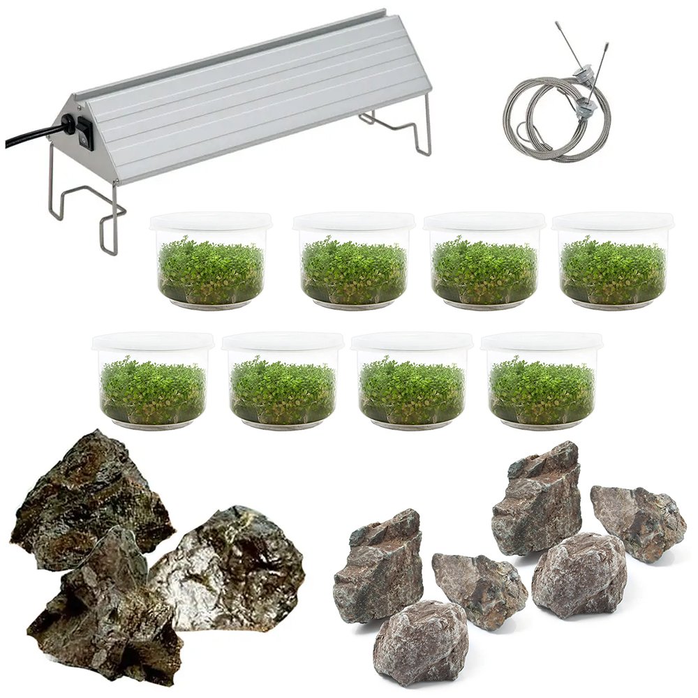 （水草）風山石と組織培養キューバパールグラスセット（無農薬）＋アクロＬＥＤ　ＶＩＶＩＤ３００　３０ｃｍ水槽用　本州四国限定　ＣＲＣ10―15―60―10―50