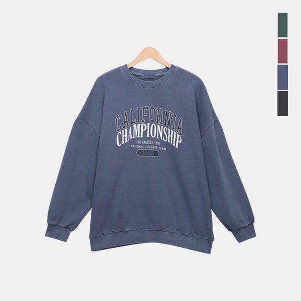 男女兼用ピグメントTシャツ オーバーフィット スウェットシャツ SPT115