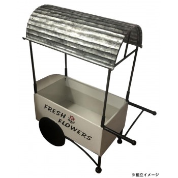 フラワーワゴン 81434