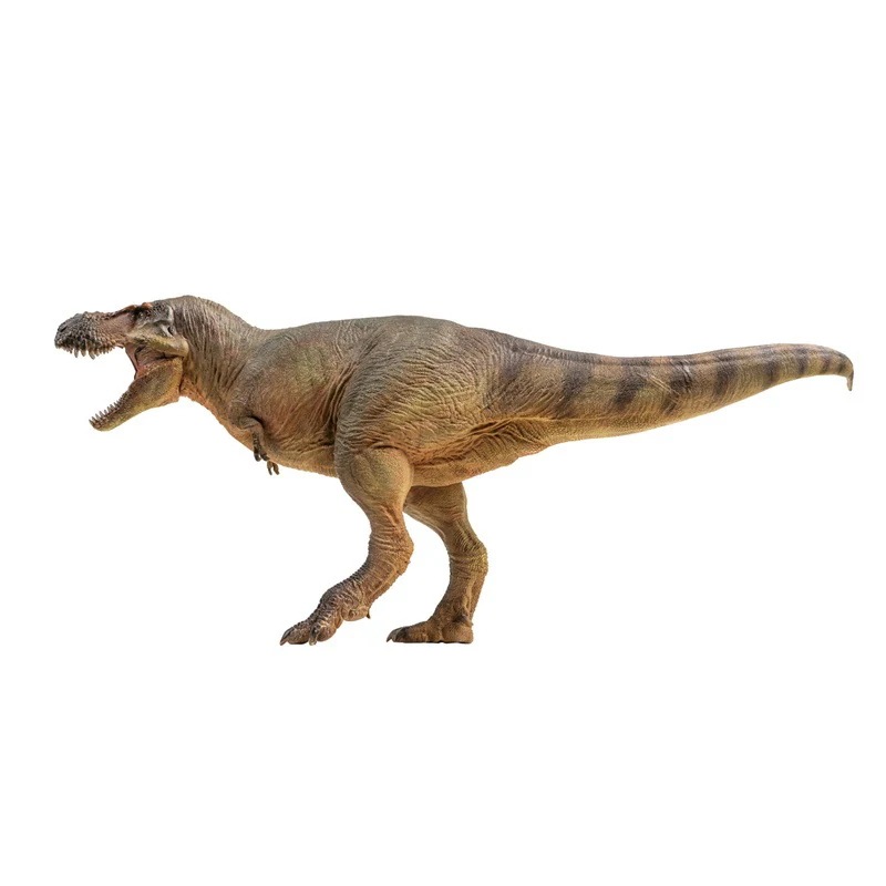 PNSO 成長シリーズ 58 ズケンティラヌス Luxiong ティラノサウルス科 獣脚類 恐竜 絶滅動物 リアル フィギュア PVC おもちゃ 模型 恐竜好き 誕生日 プレゼント 贈り物 塗装