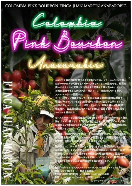 コーヒー生豆 1kg コロンビア ピンクブルボン ファンマルティン農園 アナエアロビコ 大山珈琲