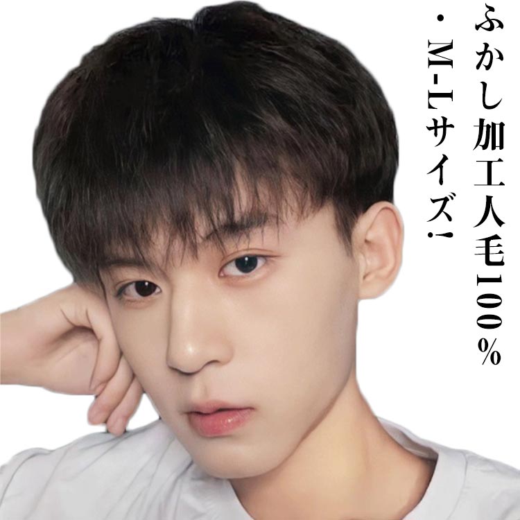 人毛100％! ウイッグ メンズ 男性 かつら 自然 ナチュラル フルウィッグ ビジネス用 人毛 ショート カツラ 黒髪 短髪 医療用 白髪隠し ボリュームアップ 普段使い 軽量 通気性 ヘアスタイリ