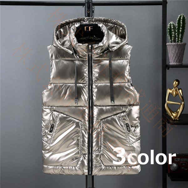 ダウンベスト メンズ 中綿 ショート丈 フード付き ダウンジャケット 中綿ジャケット ポリエステル 厚手 光沢 シンプル アウター ファスナー トップス カジュアル 秋 冬 あったか 防寒 保温 防風