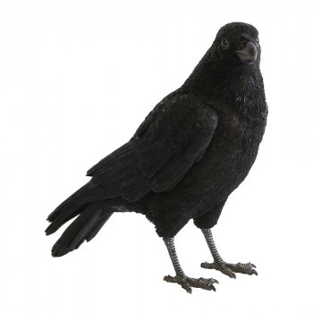 貯金箱 ペットバンク CARRION CROW 57801 4,750円