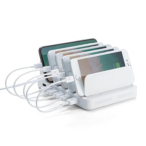 サンワダイレクト 充電ステーション USB充電器 スマホ・タブレット 6ポート 最大9.6A/48W 700-AC020W