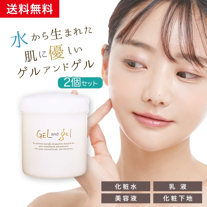 ゲルクリーム S レギュラー タイプ 500g 大容量 2個セット ピュア化粧品 オールインワンゲル