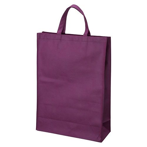 （まとめ買い）サンナップ 不織布バッグ 中 マチ付き 10枚 ワインレッド FBH-45WN [x3]