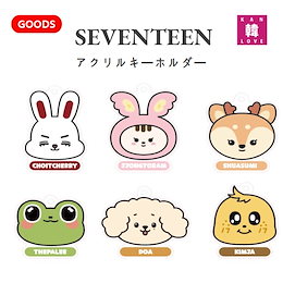 【新品未開封】MINITEEN CHOITCHERRY 4点セット SEVENTEEN MINITEEN CHOITCHERRY セット