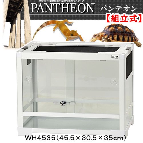 爬虫類ケージ　三晃商会　パンテオン　ホワイト　ＷＨ４５３５（４５．５X３０．５X３５ｃｍ）　お一人様１点限り　ＣＲＣ17―15―05―40―00